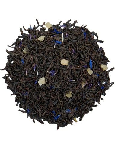 Te Negro con Piña - Music Festival Winter -...